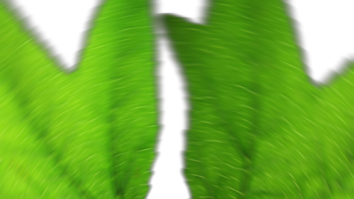 Leaf Crossover Transition 1