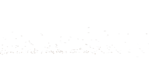 Leaves Flying Across Screen 2