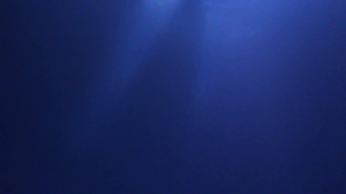 Lens Flare - Blue Flashing 2