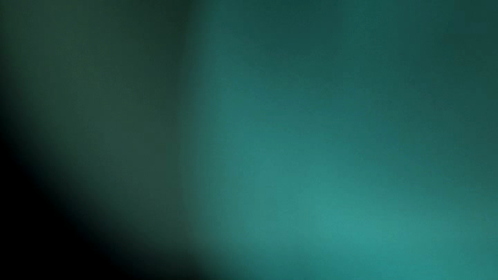 Light Leak Green 1