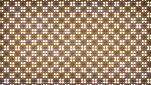 Lightwalls Large Checker 2