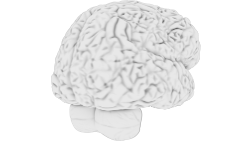 Looping Black White Brain Spin 1