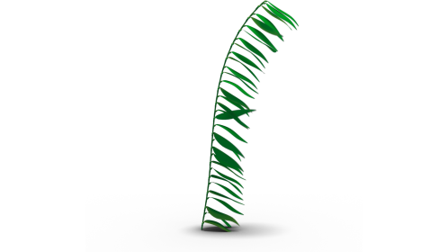 Looping Sea Kelp 2