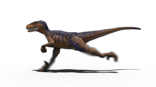 Looping Velociraptor Running 1