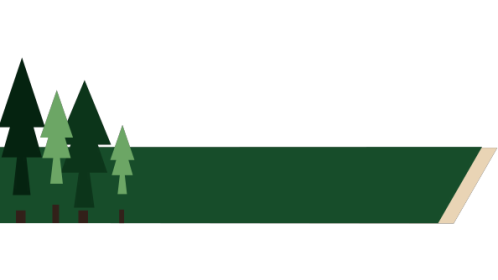 Lower Third Forest 1