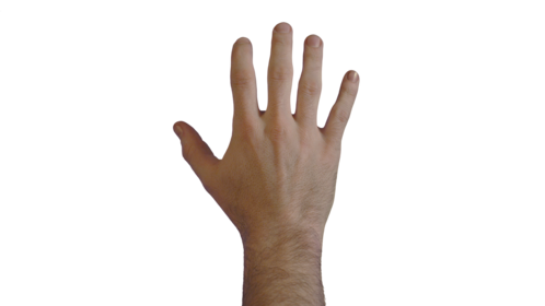 (4K) Male Hand - Grabbing