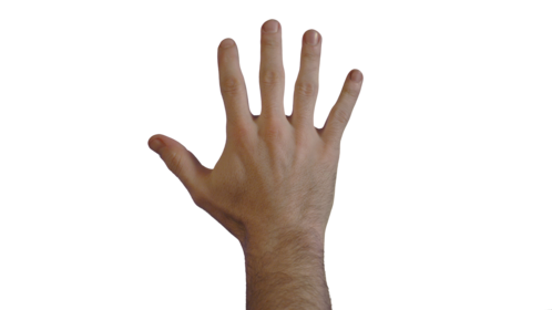 (4K) Male Hand - Release