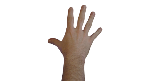 (4K) Male Hand - Scale Down