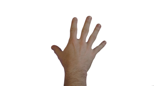 (4K) Male Hand - Scale Up