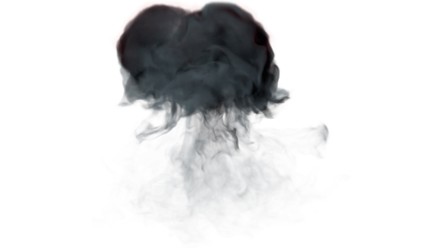 Mushroom Explosion 1