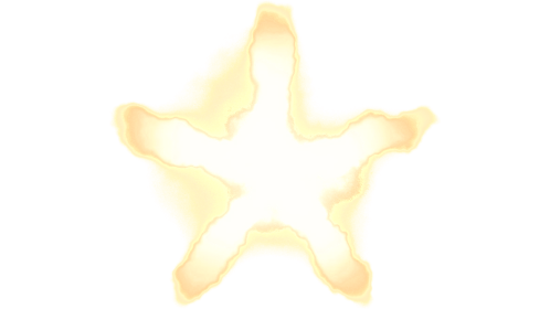 5 Star Muzzle Flash Front