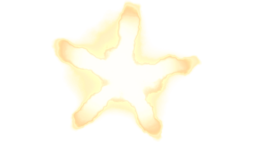 5 Star Muzzle Flash Front Automatic