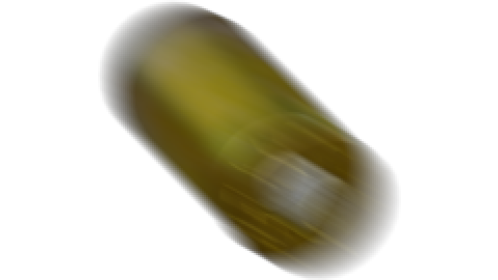Pistol Shell Side