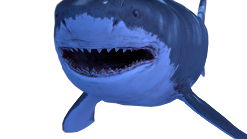 Shark Biting Camera 1