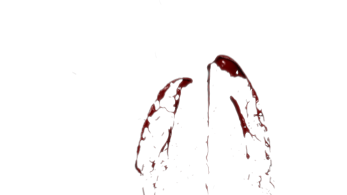 Slow Mo Blood Squib Up