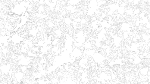 Spat Transition