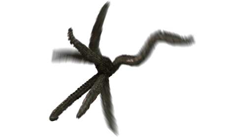 Tentacle At Camera