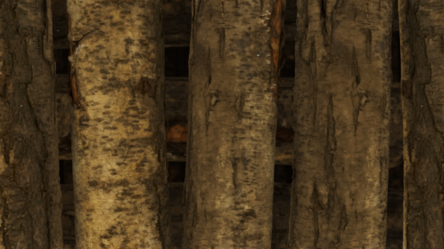 Tree Log Wall Transition