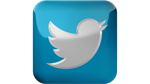 Twitter Icon