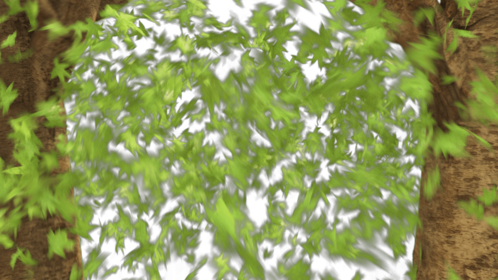 Waving Tree Transition