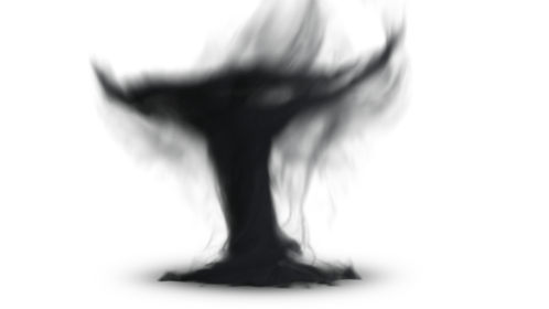 Wizard Takeoff