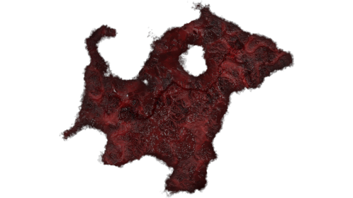 Wound Healing 10