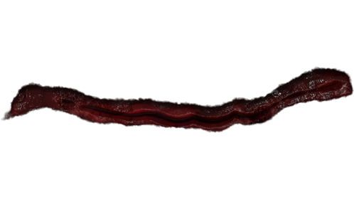Wound Healing 5