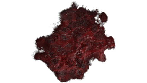 Wound Healing 6