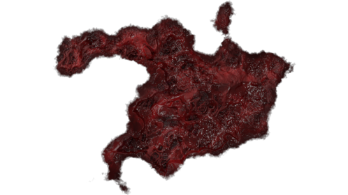 Wound Healing 9