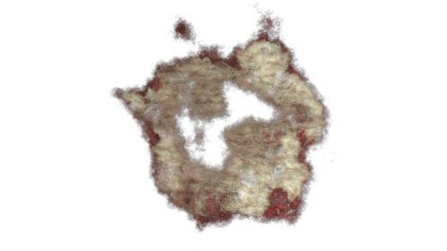 Zombie Wound 1