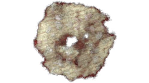 Zombie Wound 5