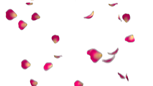 Rose Petals - Dark Pink 1
