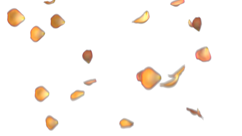 Rose Petals - Orange Hue 1