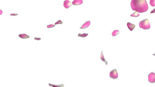 Rose Petals - Pink 1