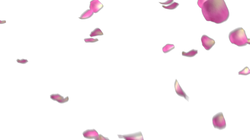 Rose Petals - Pink 2