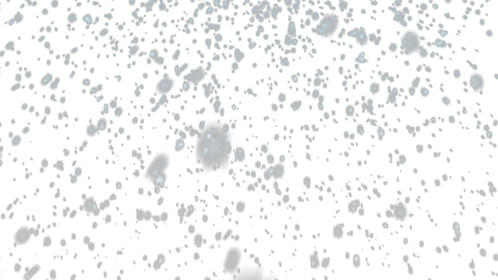 Snow Blizzard