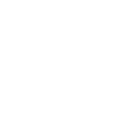 Octopus Graffiti Line
