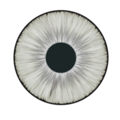 White Lens