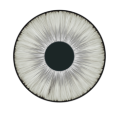 White Lens