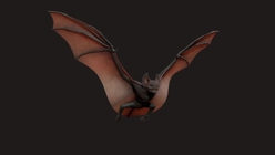 Bat