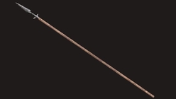 Medieval Spear