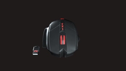 Modern Mouse