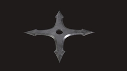 Ninja Star1
