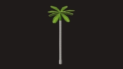 Palm Tree Low Poly 1