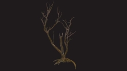 Dead Creepy Tree 3